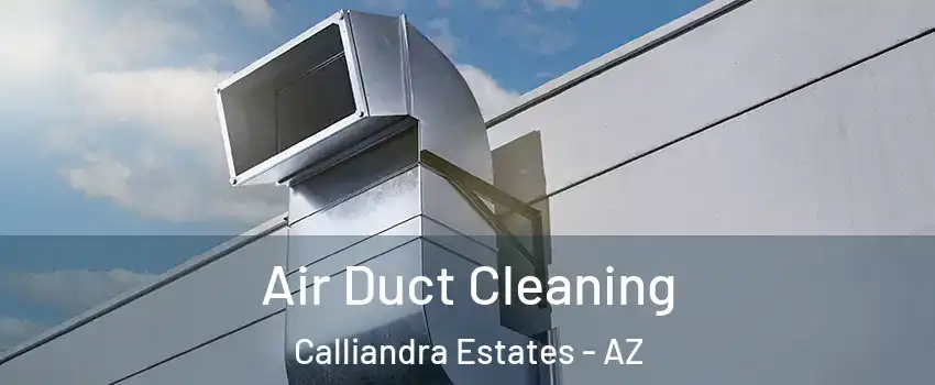 Air Duct Cleaning Calliandra Estates - AZ