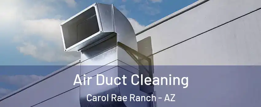 Air Duct Cleaning Carol Rae Ranch - AZ