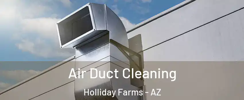 Air Duct Cleaning Holliday Farms - AZ