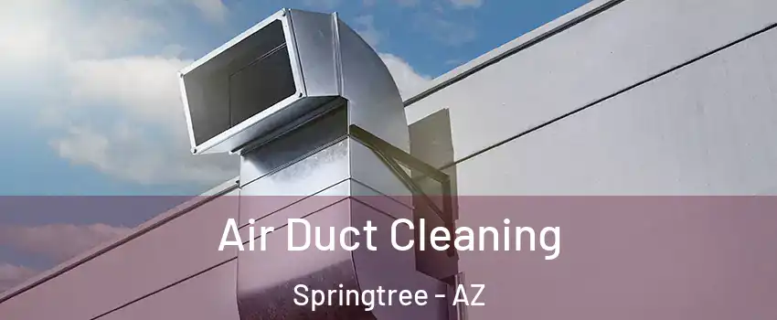 Air Duct Cleaning Springtree - AZ