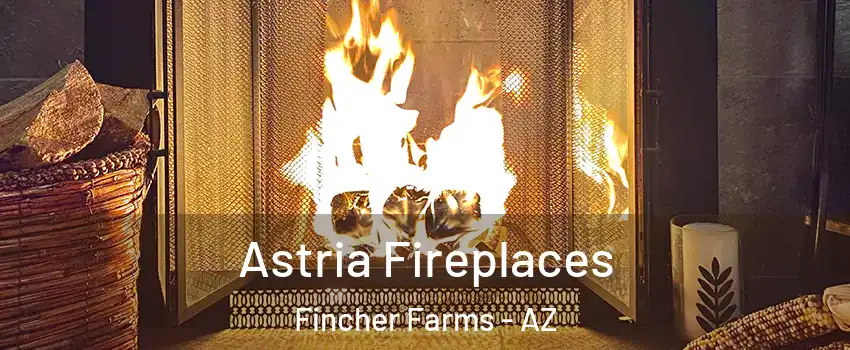 Astria Fireplaces Fincher Farms - AZ