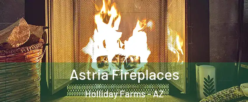 Astria Fireplaces Holliday Farms - AZ