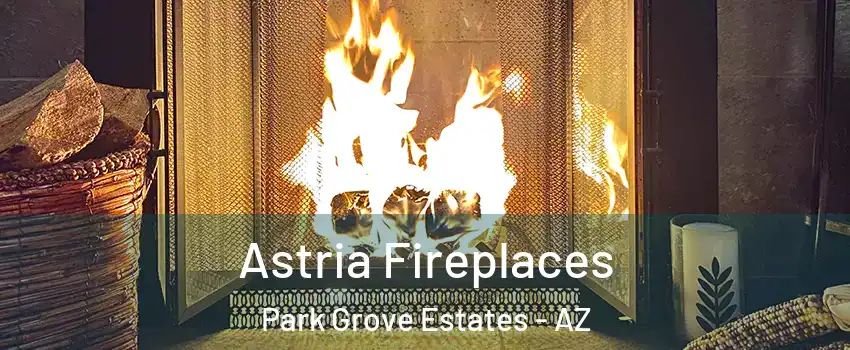 Astria Fireplaces Park Grove Estates - AZ