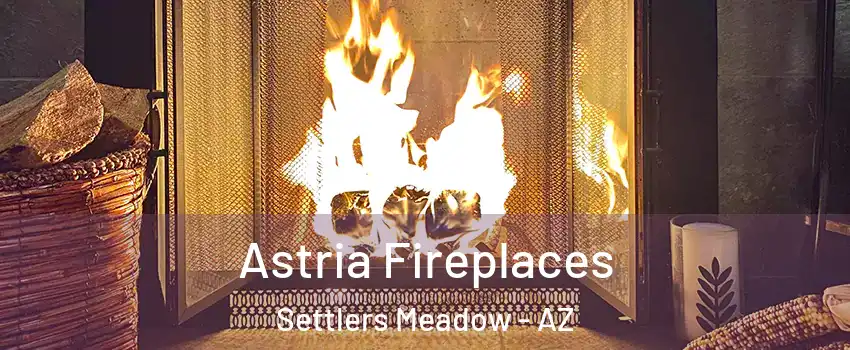 Astria Fireplaces Settlers Meadow - AZ