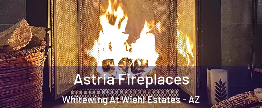 Astria Fireplaces Whitewing At Wiehl Estates - AZ