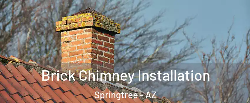 Brick Chimney Installation Springtree - AZ