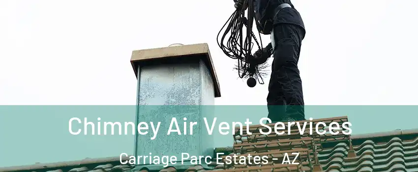 Chimney Air Vent Services Carriage Parc Estates - AZ