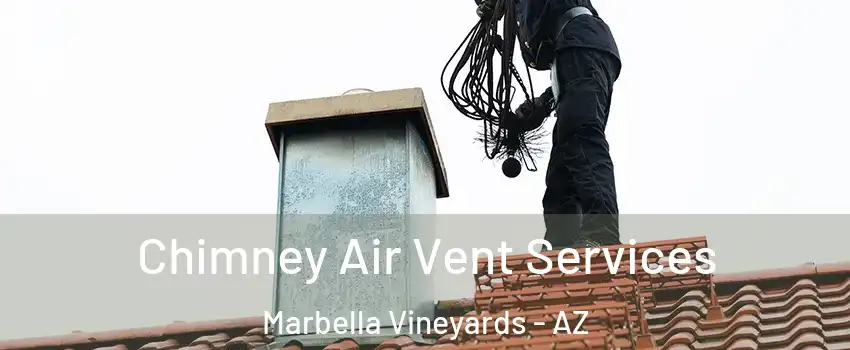Chimney Air Vent Services Marbella Vineyards - AZ