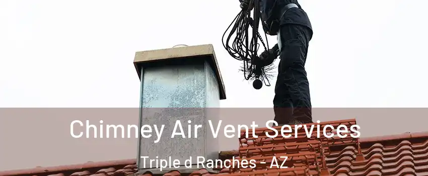 Chimney Air Vent Services Triple d Ranches - AZ