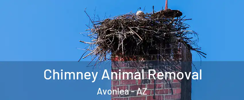 Chimney Animal Removal Avonlea - AZ