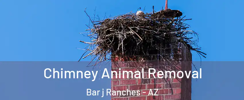 Chimney Animal Removal Bar j Ranches - AZ