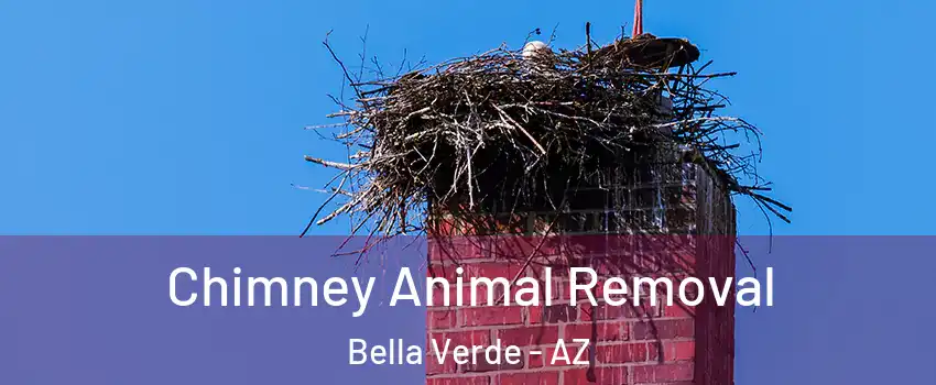 Chimney Animal Removal Bella Verde - AZ