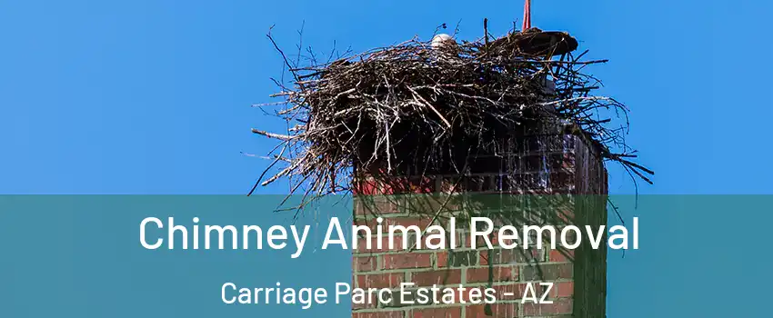 Chimney Animal Removal Carriage Parc Estates - AZ