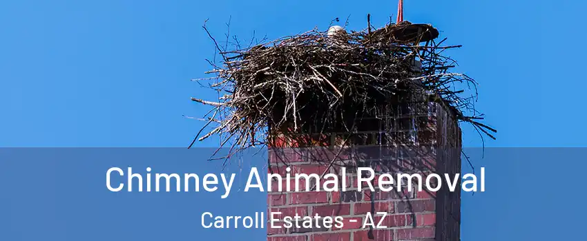 Chimney Animal Removal Carroll Estates - AZ