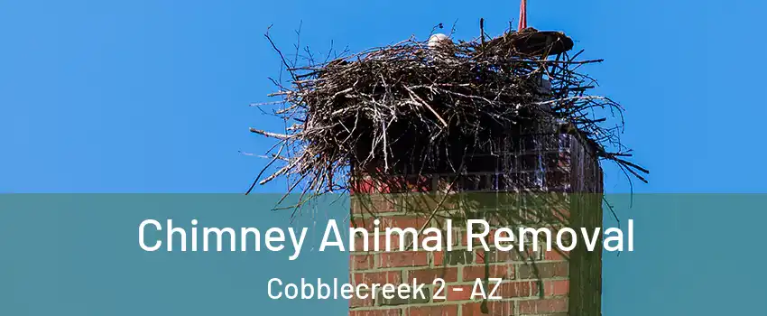 Chimney Animal Removal Cobblecreek 2 - AZ