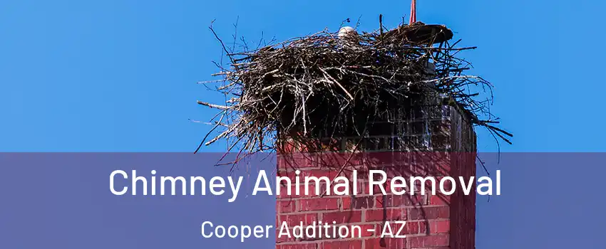 Chimney Animal Removal Cooper Addition - AZ