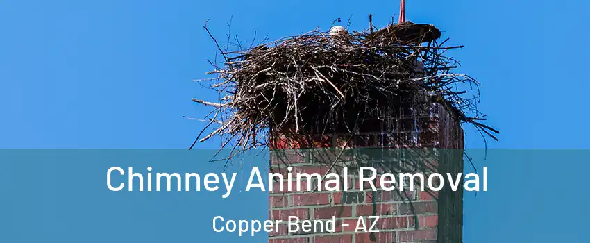 Chimney Animal Removal Copper Bend - AZ