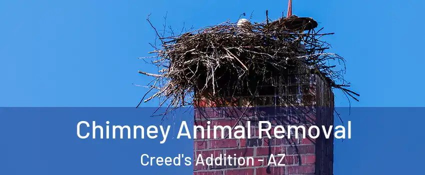 Chimney Animal Removal Creed's Addition - AZ