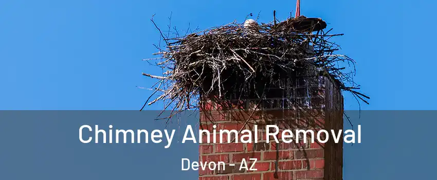 Chimney Animal Removal Devon - AZ