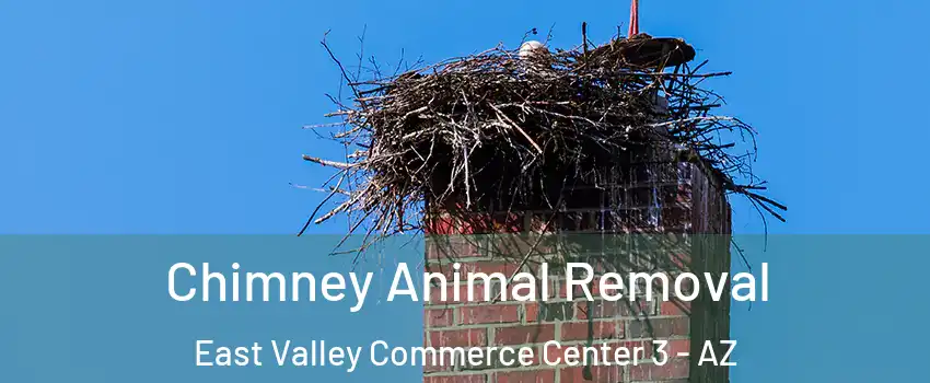 Chimney Animal Removal East Valley Commerce Center 3 - AZ