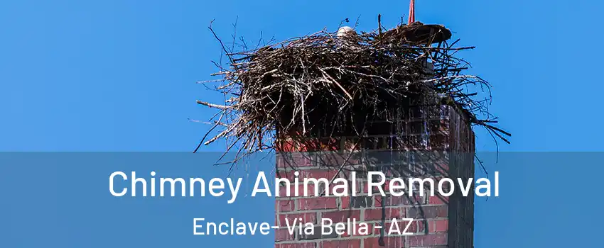 Chimney Animal Removal Enclave- Via Bella - AZ