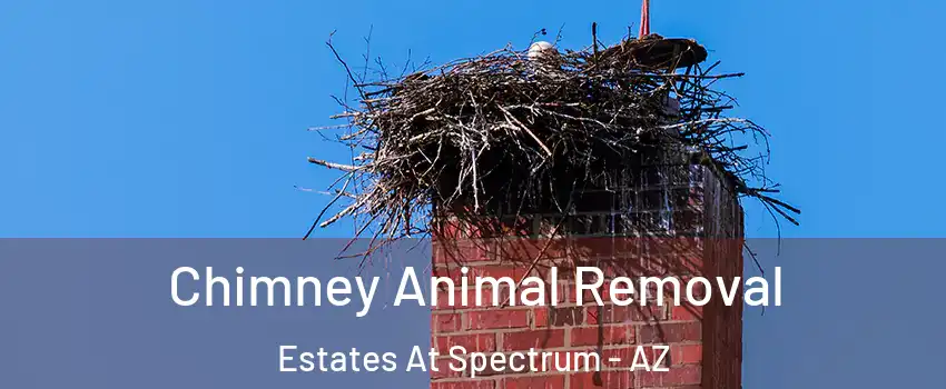 Chimney Animal Removal Estates At Spectrum - AZ