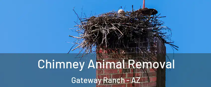 Chimney Animal Removal Gateway Ranch - AZ