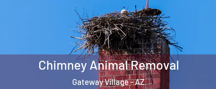 Chimney Animal Removal Gateway Village - AZ