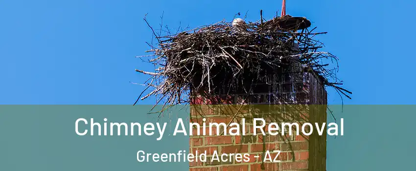 Chimney Animal Removal Greenfield Acres - AZ