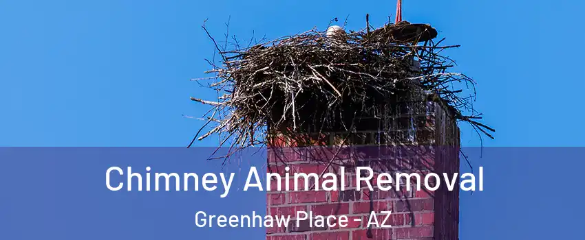 Chimney Animal Removal Greenhaw Place - AZ