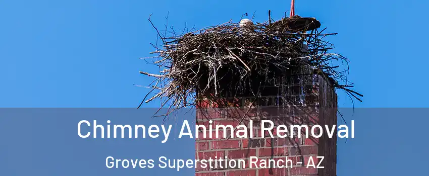 Chimney Animal Removal Groves Superstition Ranch - AZ