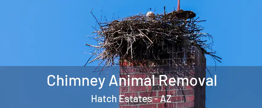 Chimney Animal Removal Hatch Estates - AZ