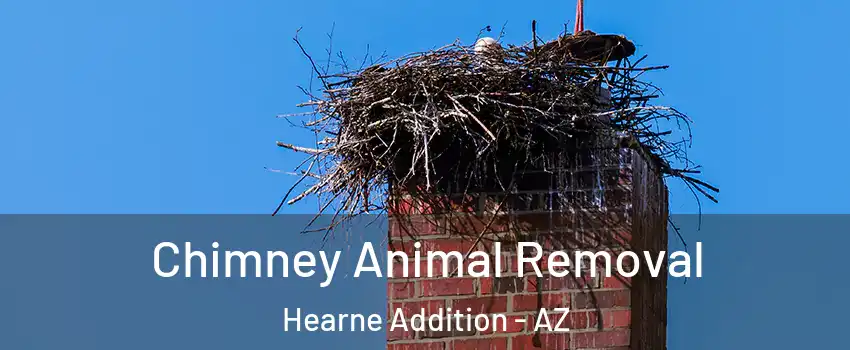 Chimney Animal Removal Hearne Addition - AZ