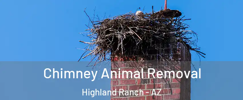 Chimney Animal Removal Highland Ranch - AZ