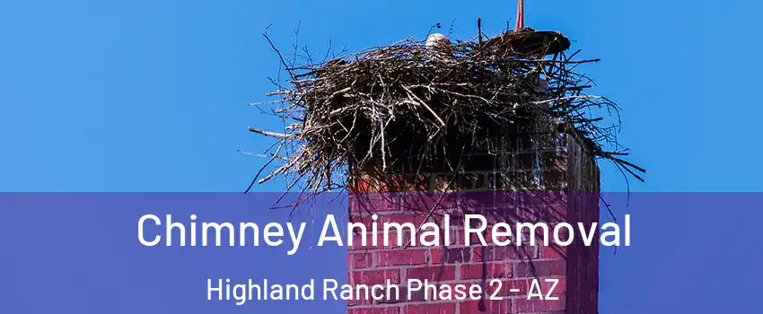Chimney Animal Removal Highland Ranch Phase 2 - AZ