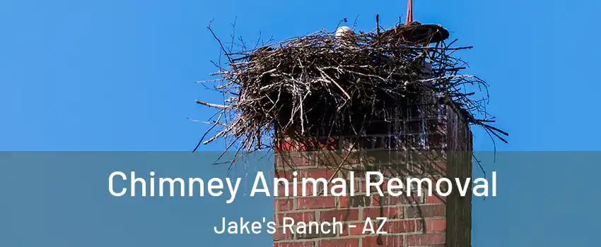 Chimney Animal Removal Jake's Ranch - AZ