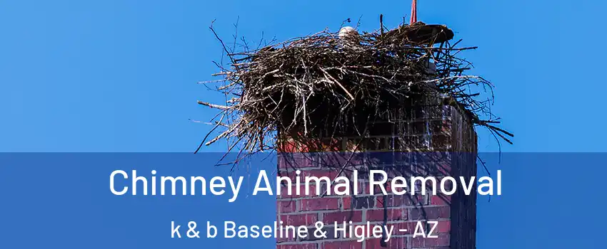 Chimney Animal Removal k & b Baseline & Higley - AZ