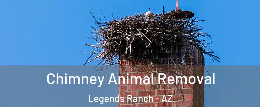 Chimney Animal Removal Legends Ranch - AZ