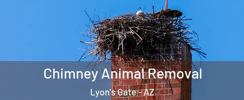 Chimney Animal Removal Lyon's Gate - AZ