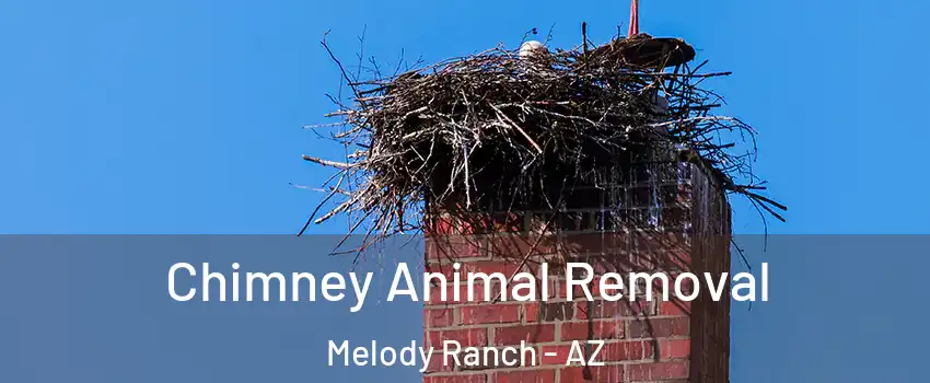 Chimney Animal Removal Melody Ranch - AZ