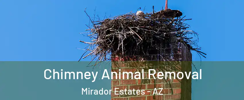 Chimney Animal Removal Mirador Estates - AZ