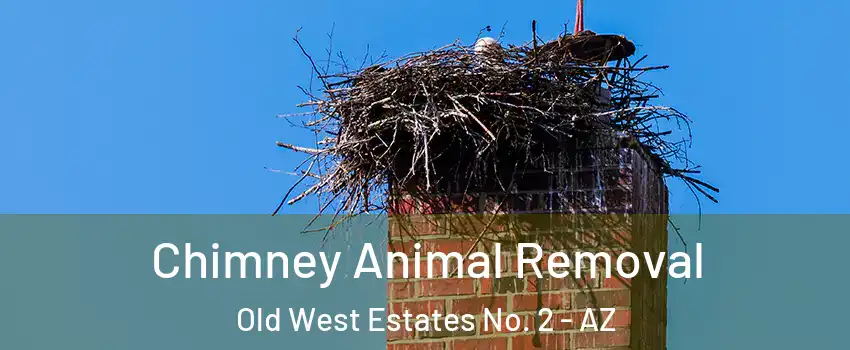 Chimney Animal Removal Old West Estates No. 2 - AZ