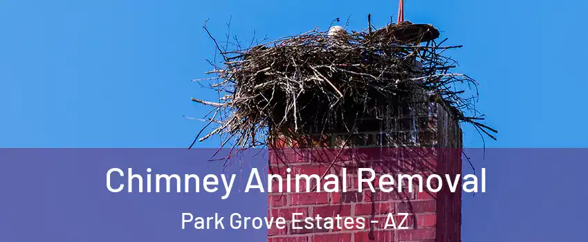 Chimney Animal Removal Park Grove Estates - AZ
