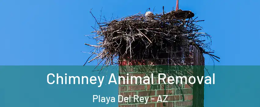 Chimney Animal Removal Playa Del Rey - AZ