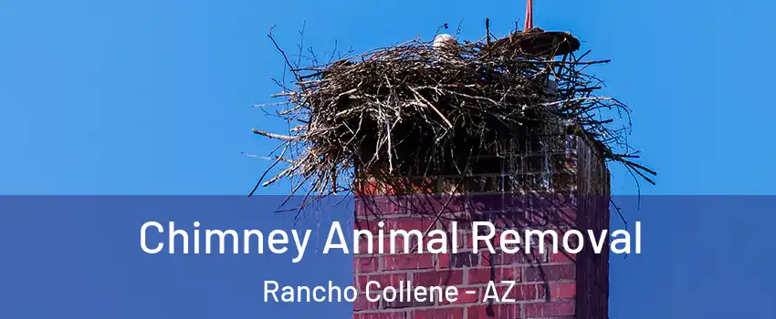 Chimney Animal Removal Rancho Collene - AZ