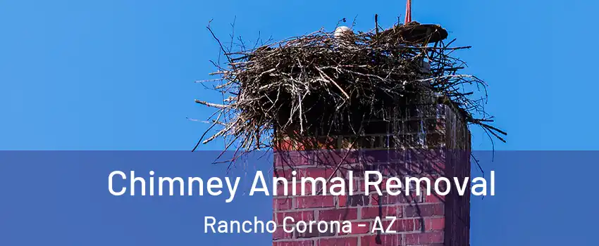 Chimney Animal Removal Rancho Corona - AZ