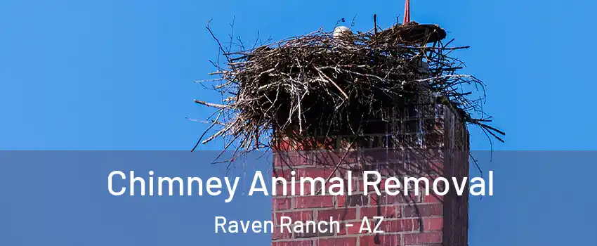 Chimney Animal Removal Raven Ranch - AZ