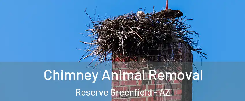 Chimney Animal Removal Reserve Greenfield - AZ