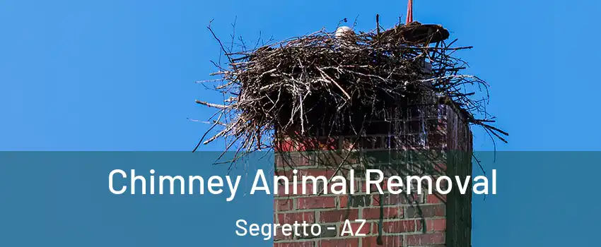 Chimney Animal Removal Segretto - AZ