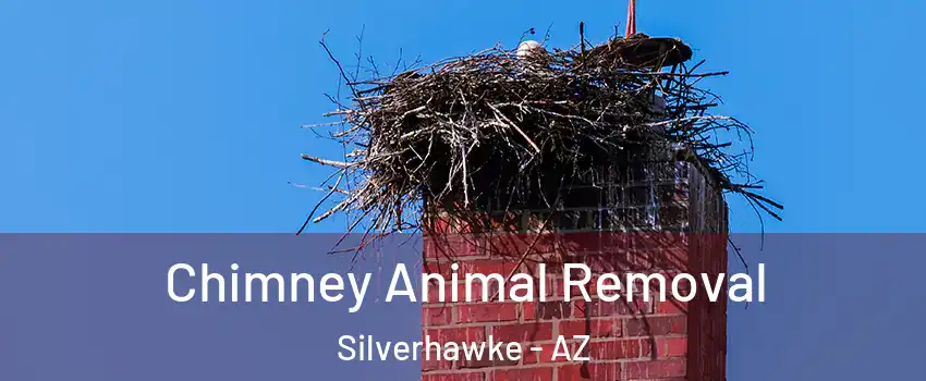 Chimney Animal Removal Silverhawke - AZ